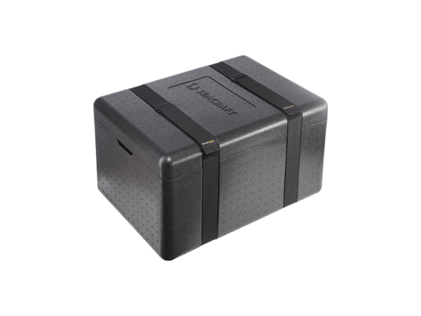 Seacraft GO modular air-travel battery